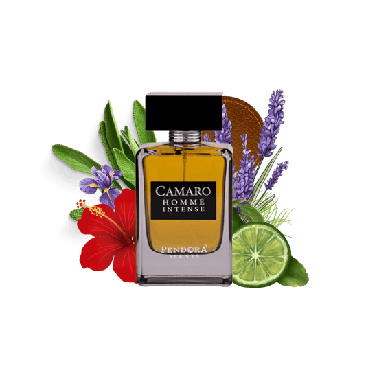 CAMARO HOMME INTENSE