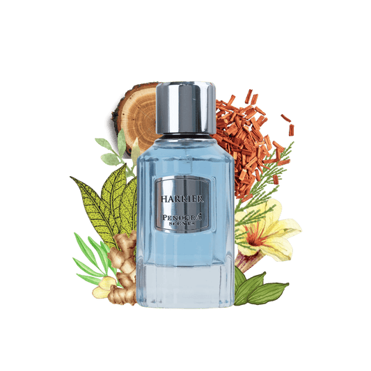 HARRIER PENDORA 50ml