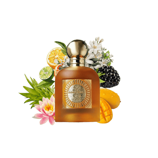 Mango Punch Emir 100ml
