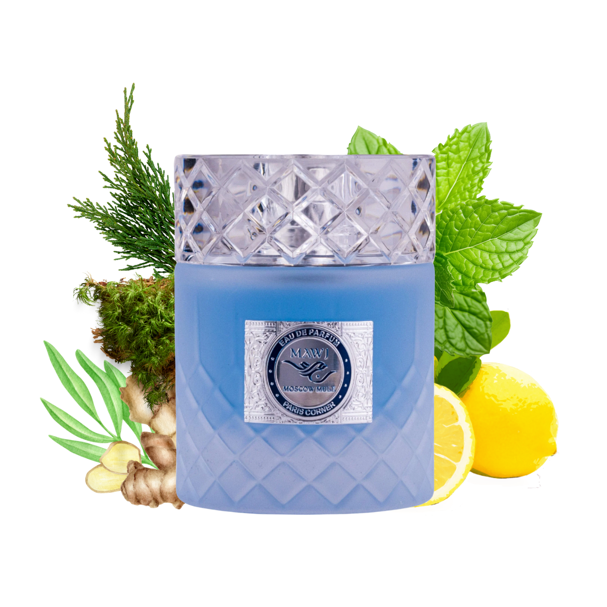 Buy Mawj Moscow Mule 100ml unisex perfume for all summer – Aroma