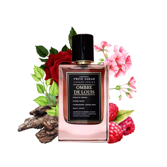 OMBRE DE LOUIS PRIVEZARAH