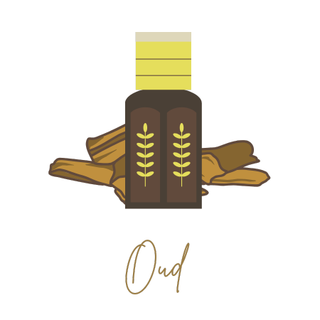 Oud Collection