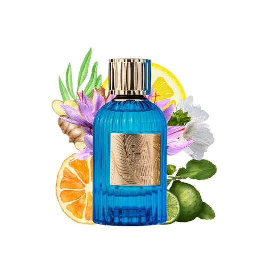 QISSA EDP
