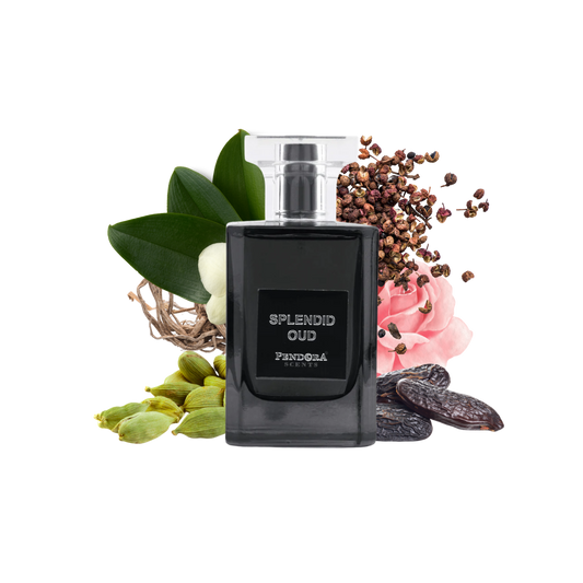 SPLENDID OUD