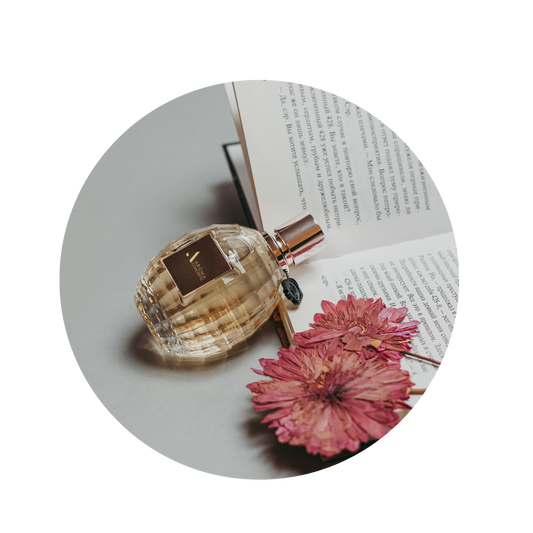 perfumes for all seasons