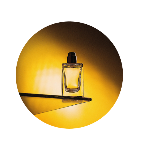 Discover the Best Perfumes to Elevate Your Signature Scent Game