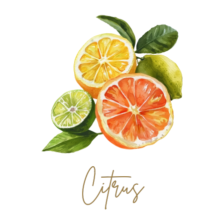 Citrus Collection