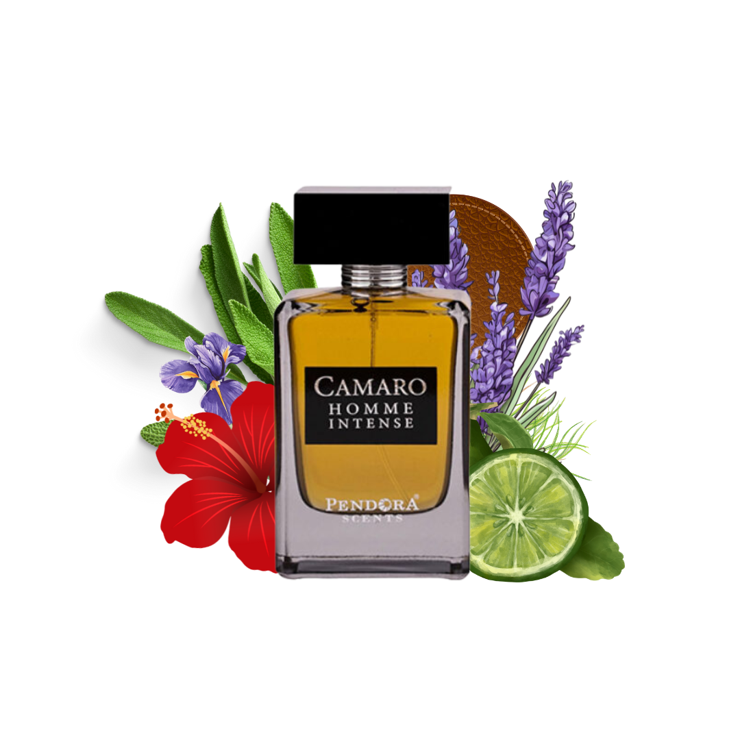 CAMARO HOMME INTENSE