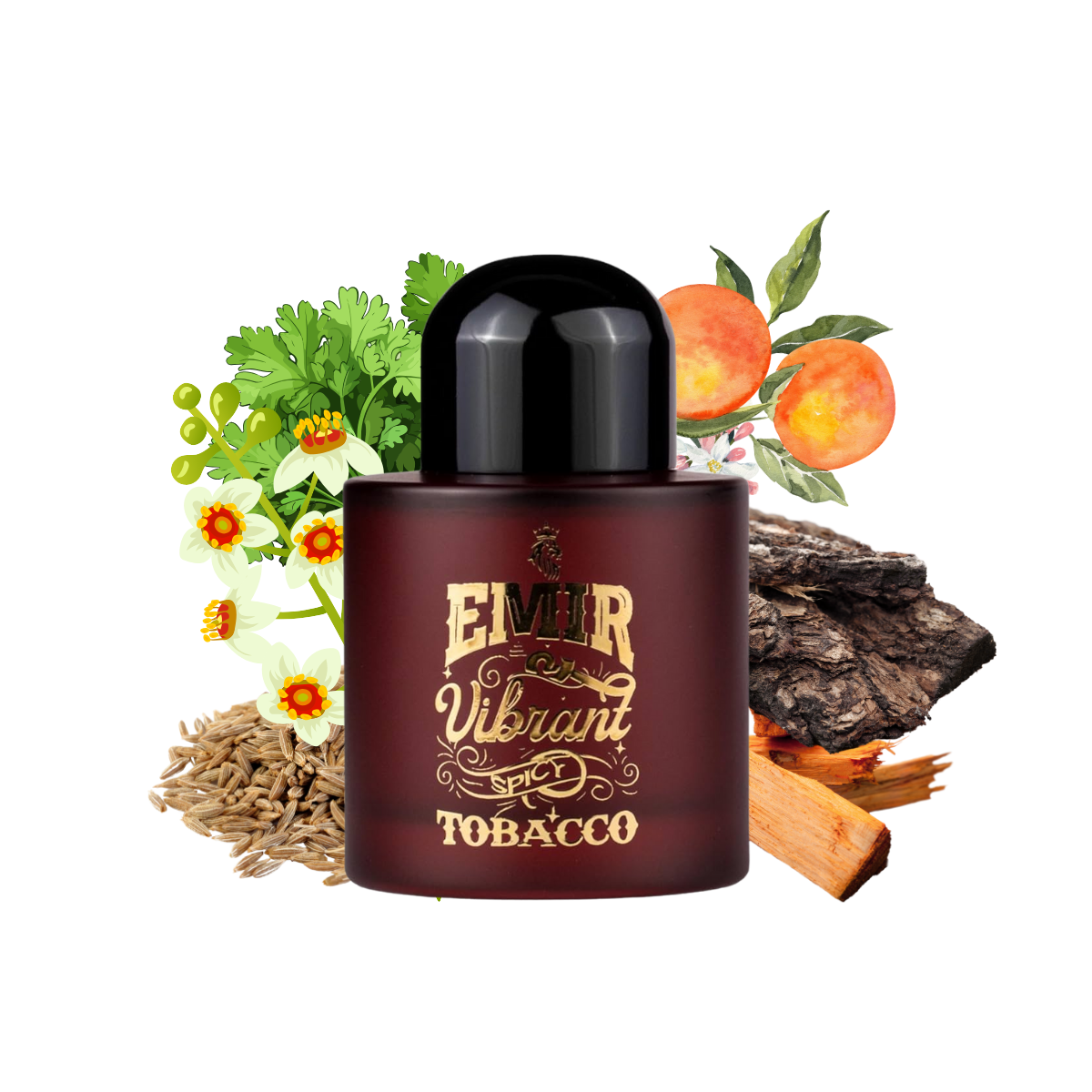 emir vibrant spicy tobacco review – Aroma Concepts UK Paris Corner Emir Vibrant Spicy