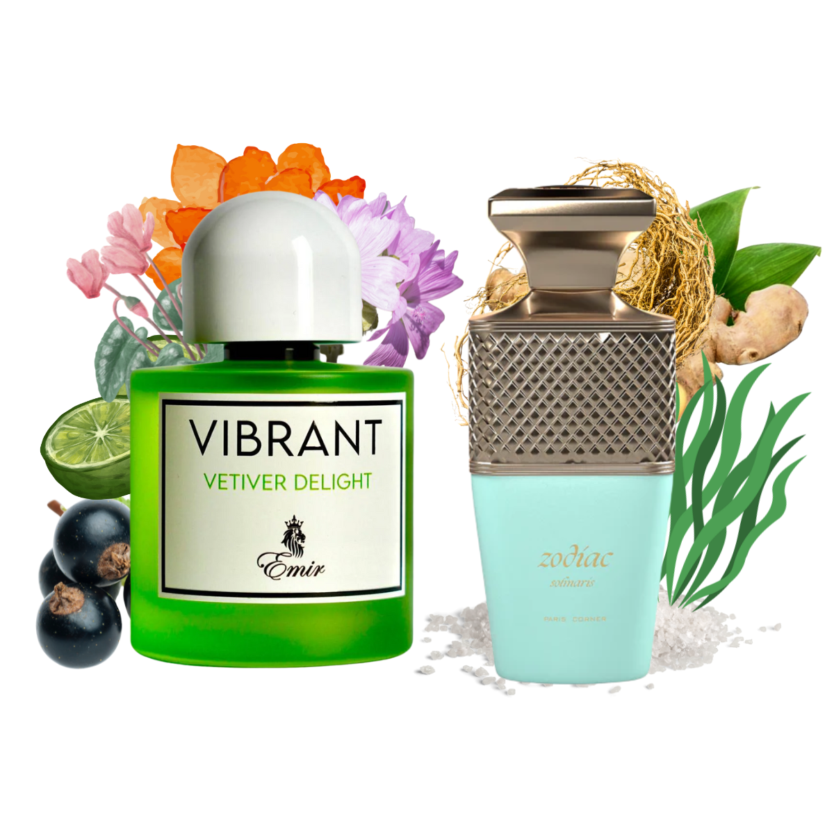 Bundle Vibrant Vetiver Delight Emir & Zodiac Solmaris