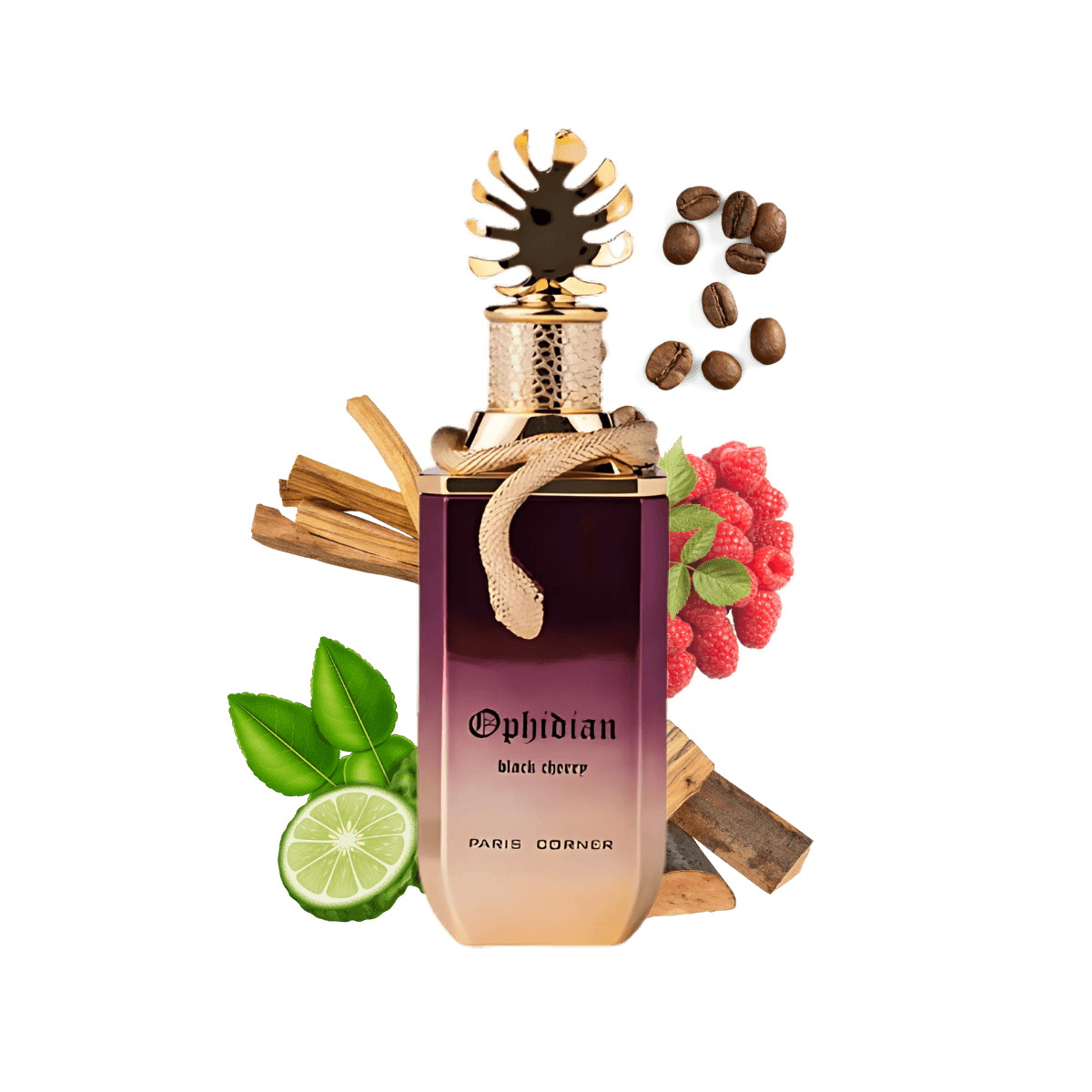 Ophidian Black Cherry