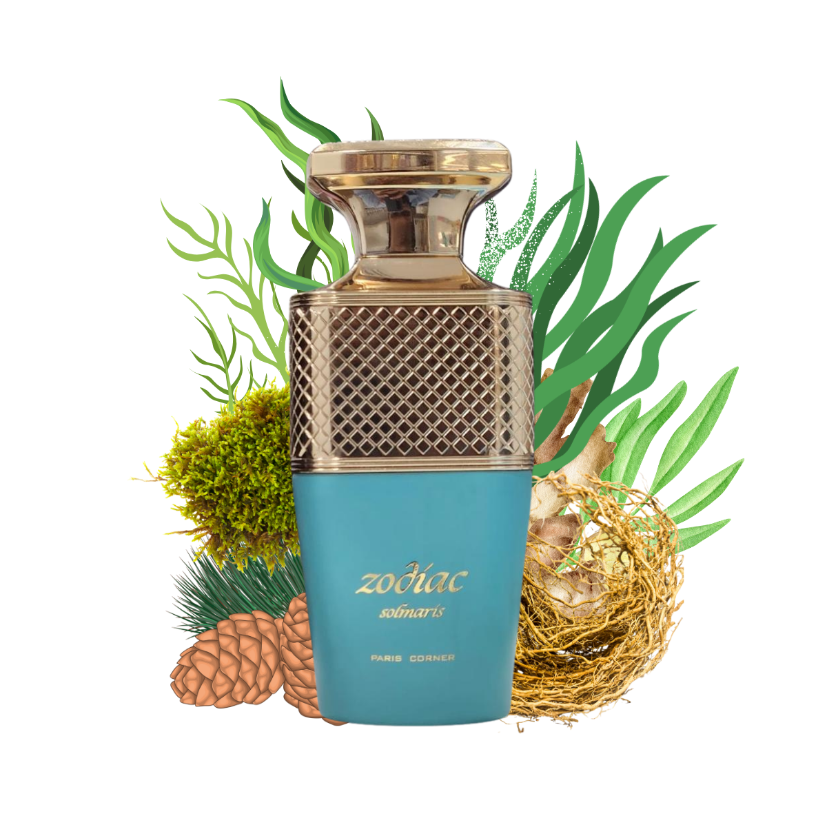 zodiac solmaris perfume