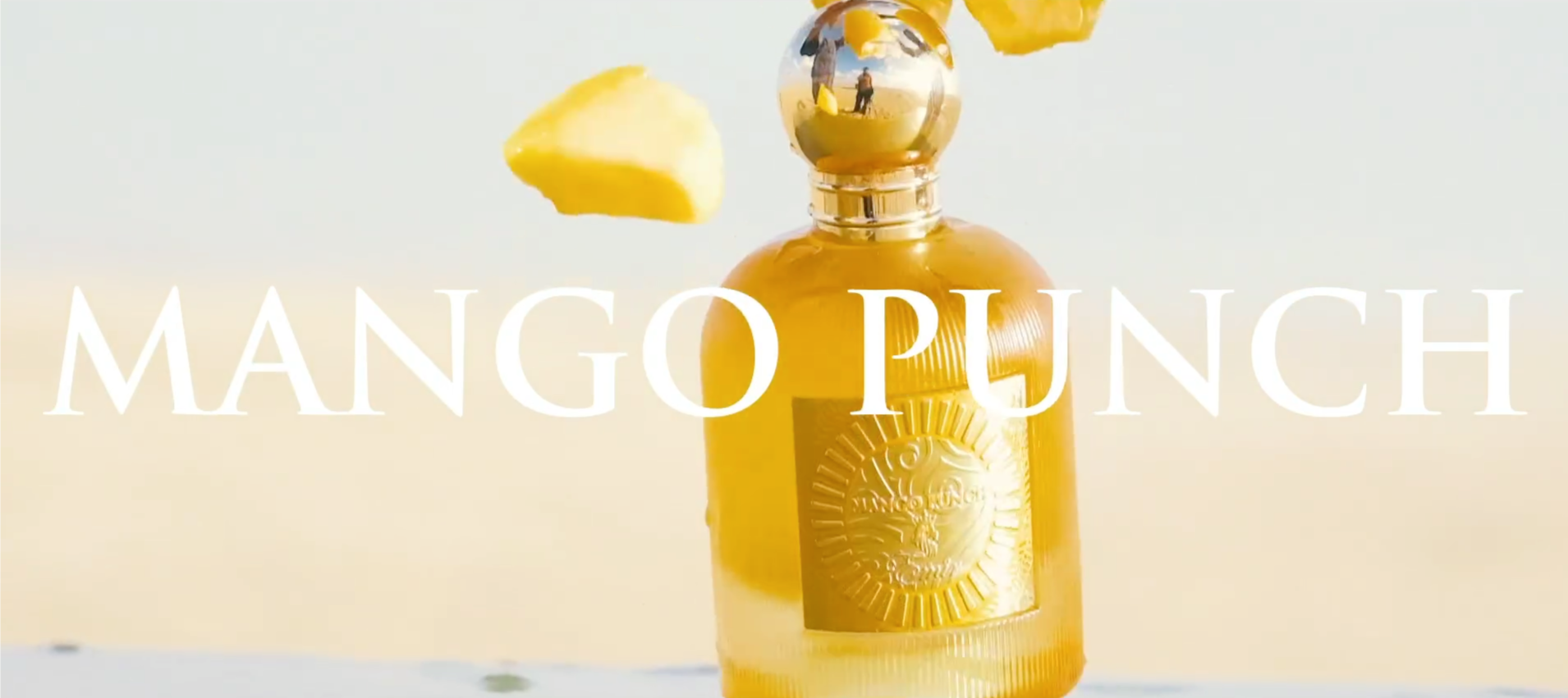 Mango Punch Emir 100ml unisex EDP 