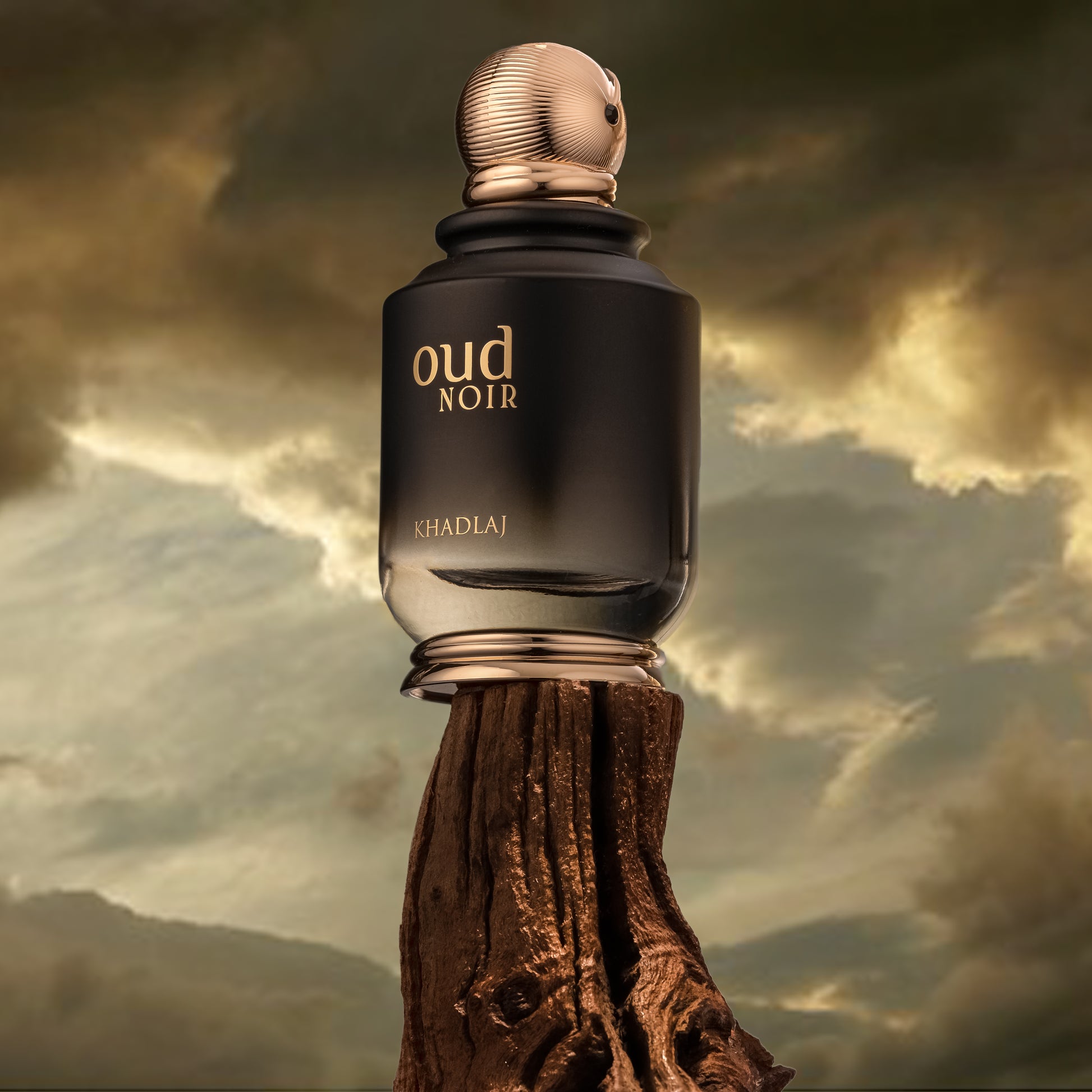 OUD NOIR Fragrance - 100ml bottle